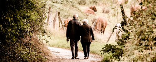 Retirement planning consultation scene for A&Co Financials